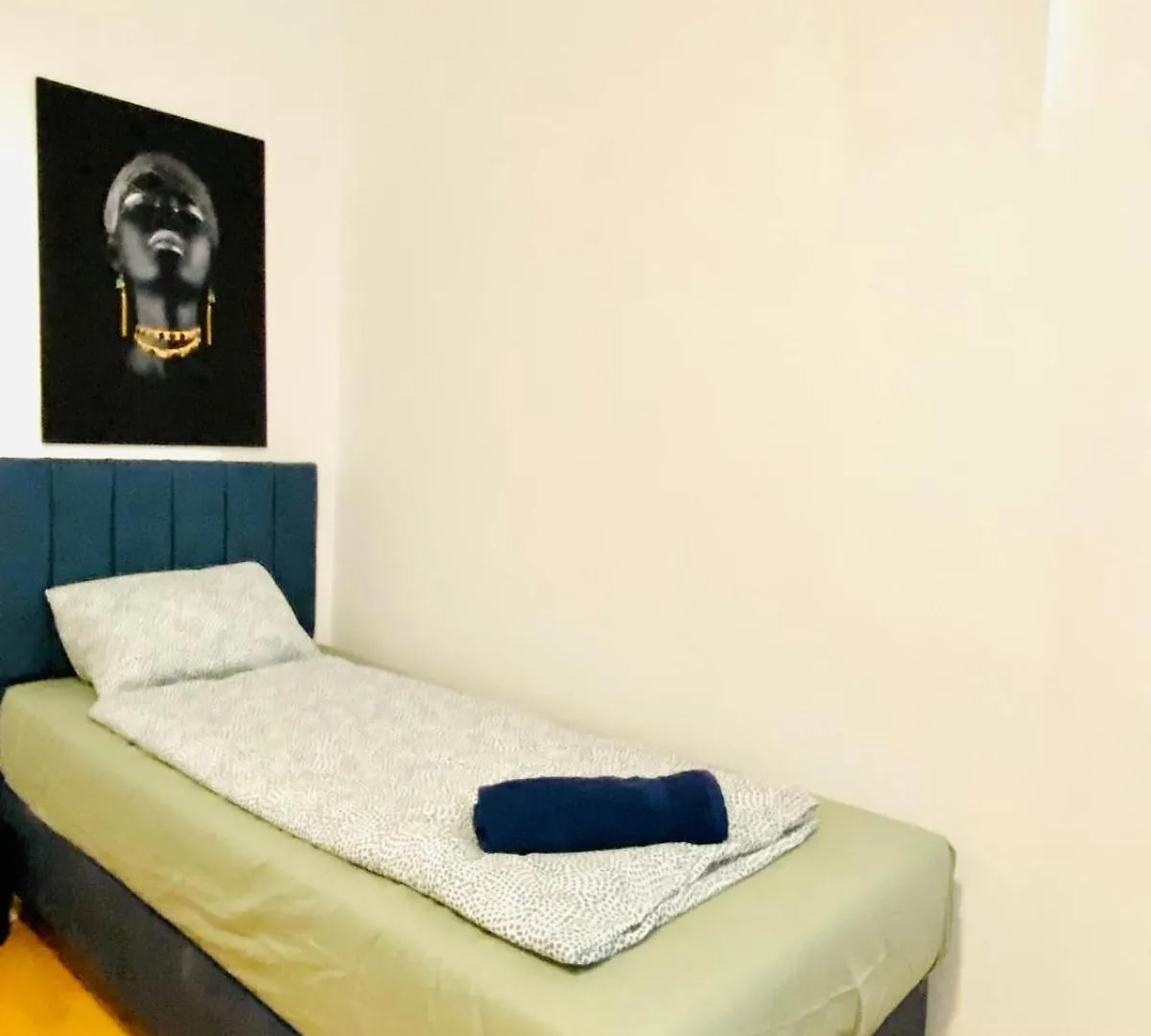Elegant 3 Bedroom Shared Apt Convenient City Access Vienna Apartment