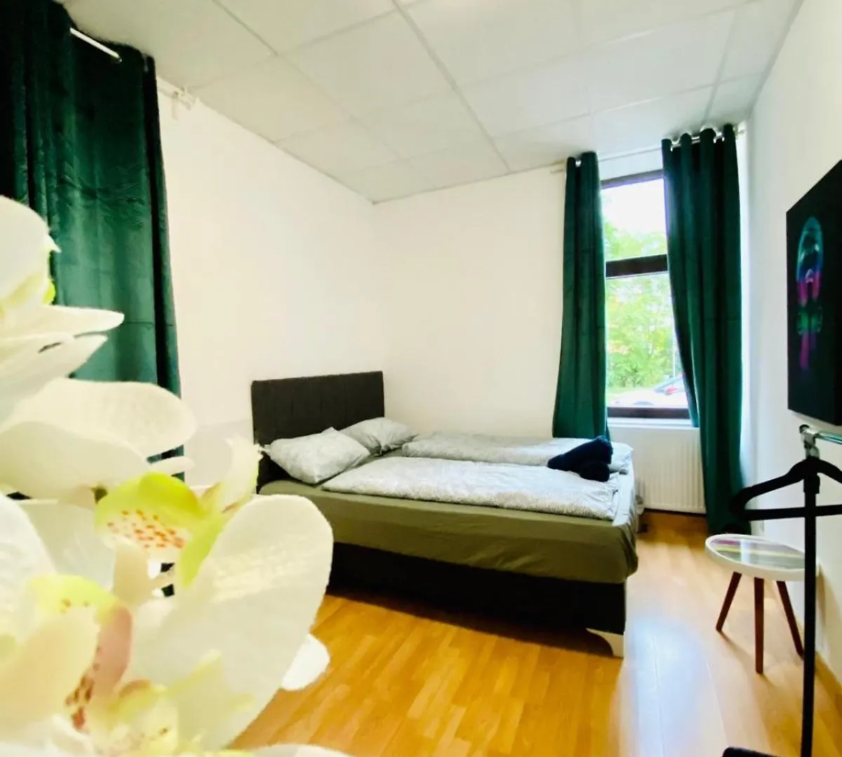 Elegant 3 Bedroom Shared Apt Convenient City Access Vienna